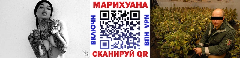 Где купить Кушва APVP  Галлюциногенные грибы  Кокаин  ГАШ 