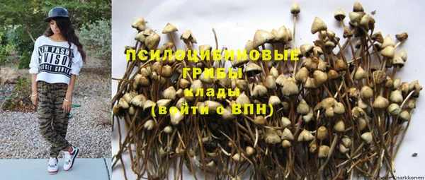 спайс Вуктыл