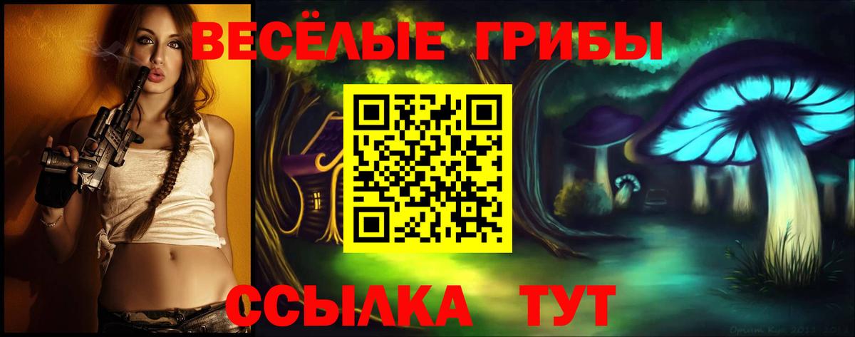 Кушва  Псилоцибиновые грибы Cubensis  Вход с VPN 